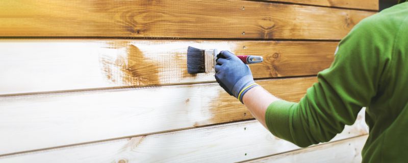 Wood Cabin Staining in Fort Collins, CO